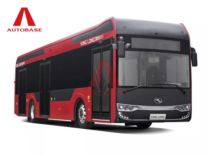 Čista električna različica